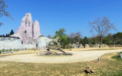 Zoo de Vincennes (Parc zoologique de Paris)
