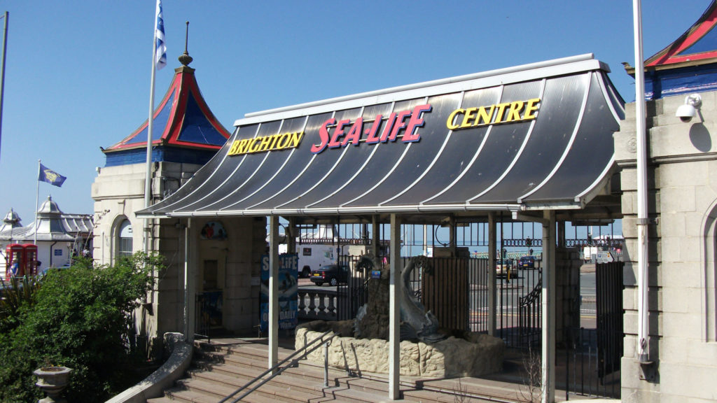 Sealife Center Brighton