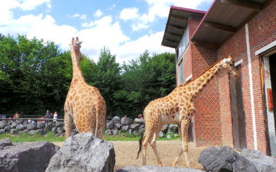 Zoo de Maubeuge