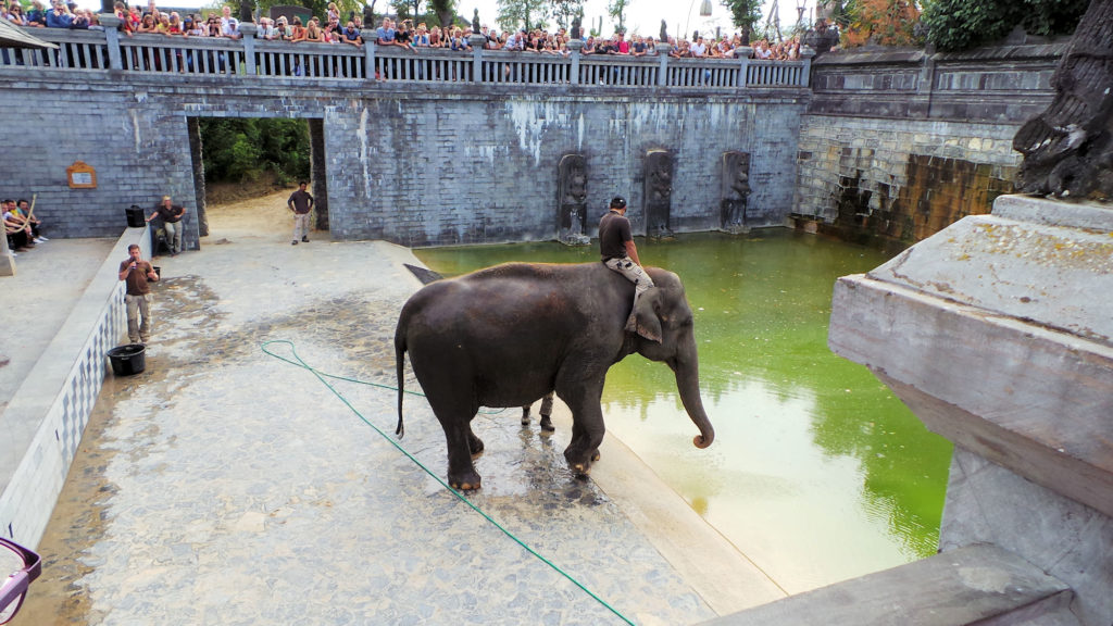 Pairi Daiza Le Bain de Mala
